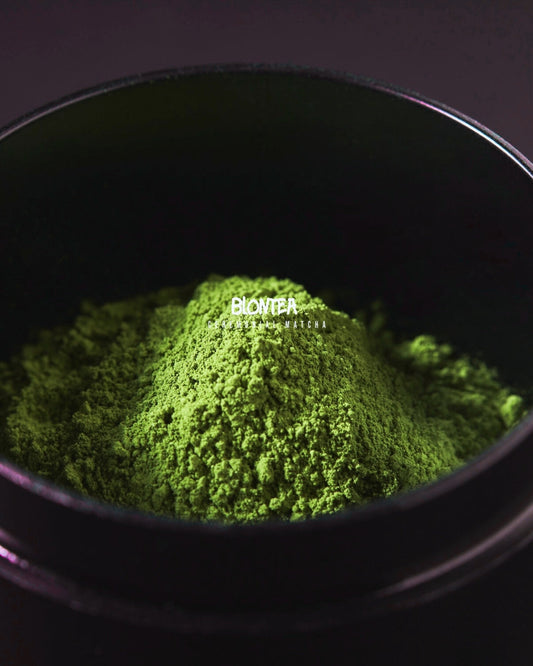 Matcha – Lagerung und Haltbarkeit